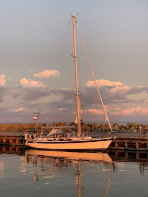 HR 36, Hallberg Rassy 36