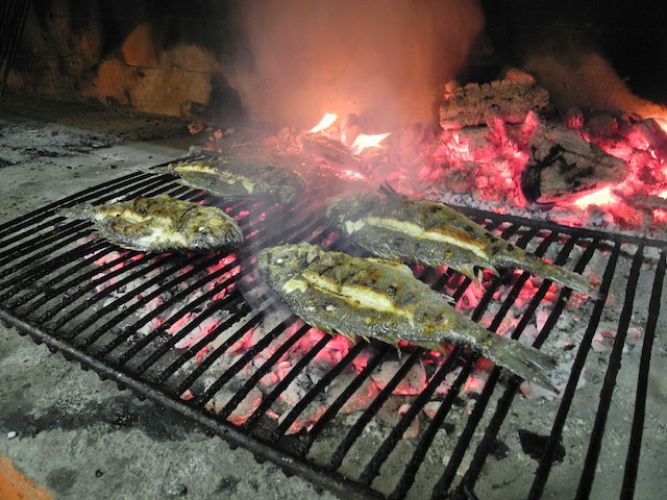Dorade